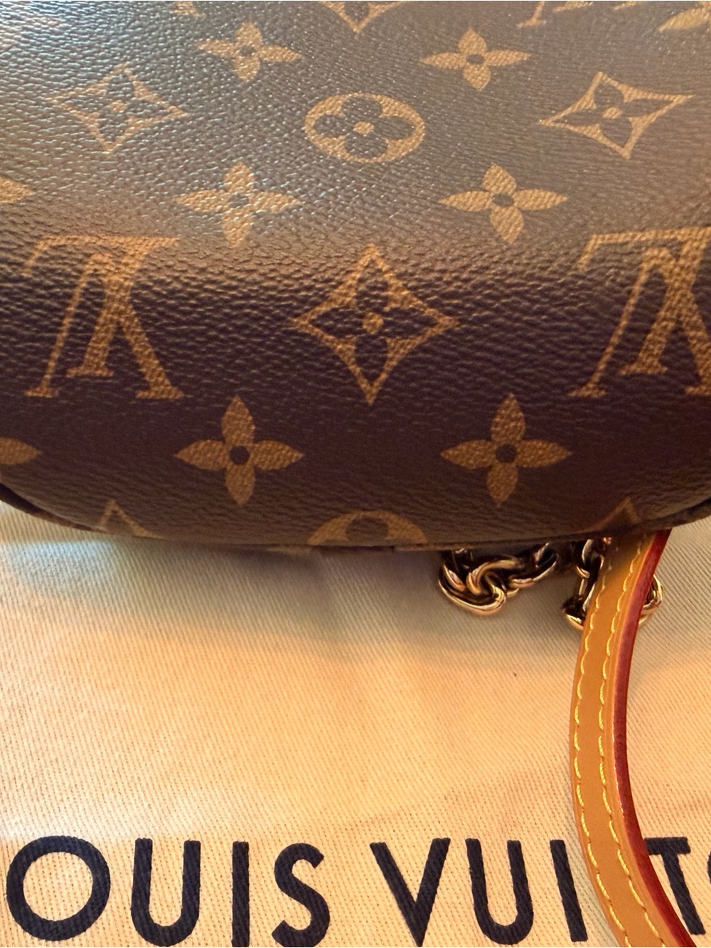 Louis Vuitton Brown Monogram Mini Bum Bag - Picture 4 of 13